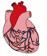 heart1.gif (15116 bytes)